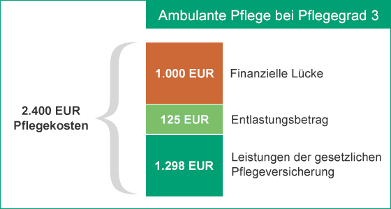 Ist Eine Private Pflegeversicherung Sinnvoll Hansemerkur