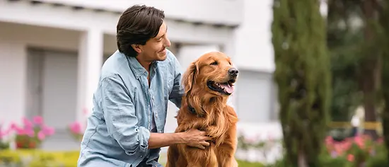 Hundekrankenversicherung