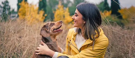 Frau mit Hund auf einem Feld - Giftköder Hund