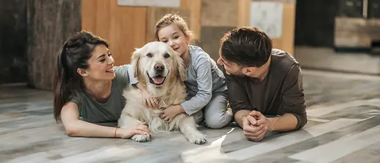 OP Versicherung für Hunde